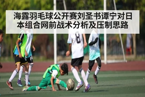 海露羽毛球公开赛刘圣书谭宁对日本组合网前战术分析及压制思路